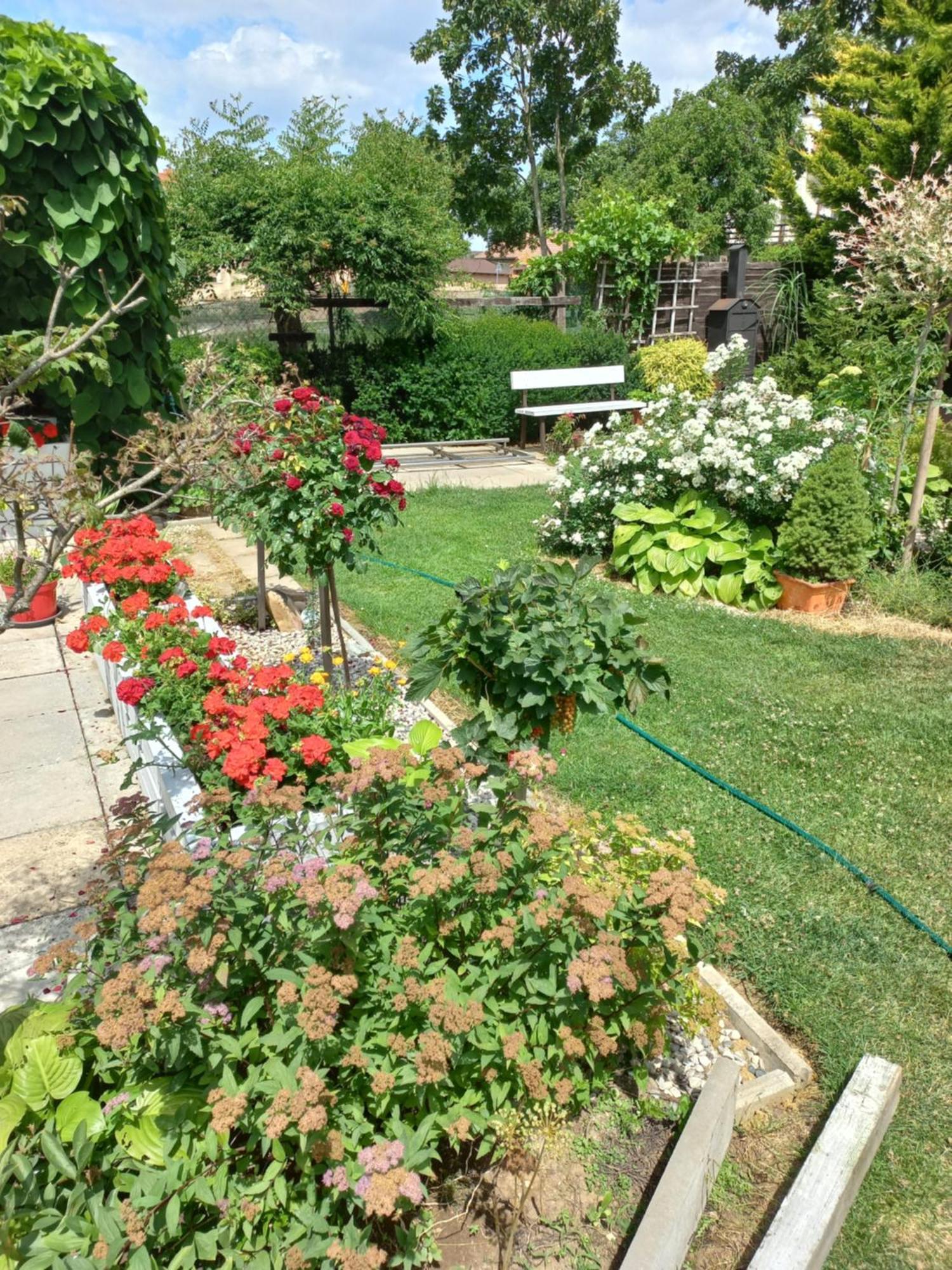 Paradise Villa Apartment Prague Luaran gambar